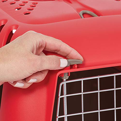 MidWest Spree Travel Carrier, 19-Inch, Small Dog & Cat Crate - color: Red