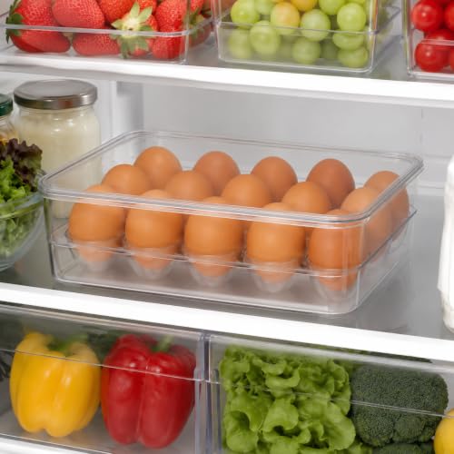 Dependable Industries inc. Essentials Stackable Plastic Egg Holder for Refrigerator with Lid – Clear 12 Count Fridge Egg Container, BPA Free Egg Storage Organizer Bin