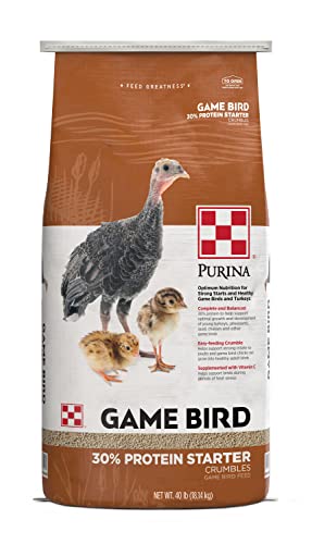 Purina® | Game Bird + Turkey 30% Protein Starter Feed | 40 Pound (40 lb.) Bag