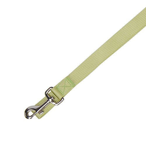 Zack & Zoey Basic Nylon Dog Leash, 4-Feet x 5/8-Inch Lead, Parrot Green - color: Parrot Green, size: 4-Feet x 5/8-Inch Lead