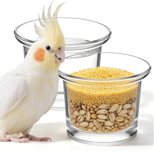 DOITOOL 2pcs Glass Bird Feeder Cups, Oriole Feeder Replacement Jelly Cups | Clear Hummingbird Cup Inserts for Outdoor Hanging Holders, Garden Balcony Patio, 2.5 in x 1.8 in