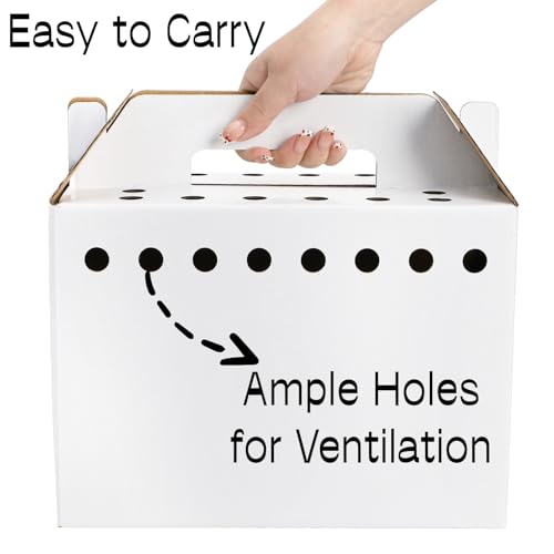 Coloch 20 Pack Cardboard Pet Carrier for Small Pets, 11x8x6 Inches Disposable Pet Transport Box for Pullets, Fowls, Hamsters, Gerbils, Reptiles, Guinea Pigs