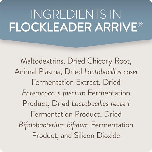Arrive, Daily Probiotic & Prebiotic Water Supplement for Young Chickens 0-8 Weeks Old, 8 oz (Pack of 2) - color: FlockLeader Arrive, size: 8 Ounce (Pack of 2)