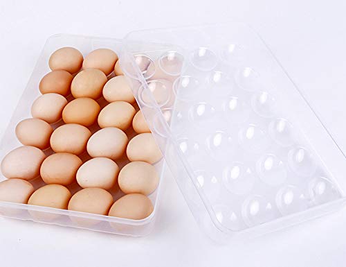 Sooyee 2 Pack Covered Egg Holders for Refrigerator,Clear 2X24 Deviled Egg Tray Storage Box Dispenser,Stackable Plastic Egg Cartons,Egg Holder Countertop(48 Eggs) - size: 2 Pack 24 Eggs