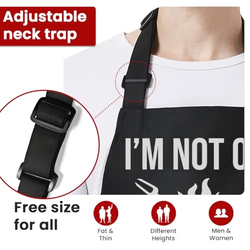 SANDJEST Funny Mens Aprons with Pockets for BBQ Grilling Cooking Grandpa Husband Apron for Birthday Christmas Father's Day - color: Funny 1