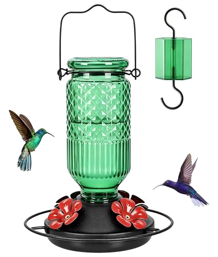Glass Hummingbird Feeder, 16oz Outdoor Hanging Bird Feeder with Ant Moat, 4 Bee-Proof Feeding Ports, 360° Perch, Leak-Proof, Green - color: Green