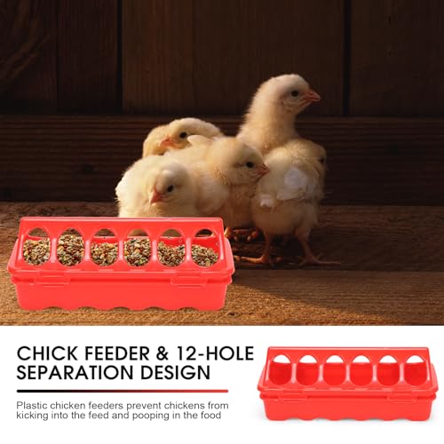 Chick Brooder Box, Chick Starter Kit with Heat Lamp, Chick Perch, Flip Top Poultry Feeder, Baby Chicken Supplies for Duck and Quail