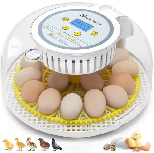 Sailnovo 18 Egg Incubator for Hatching Eggs with Automatic Egg Turning | Humidty Display, Temperature Control,360° Clear View, Egg Incubator for Hatching Chickens,Duck,Quail Ideal for Farm,School - color: Grey-Yellow, size: Hatch 18