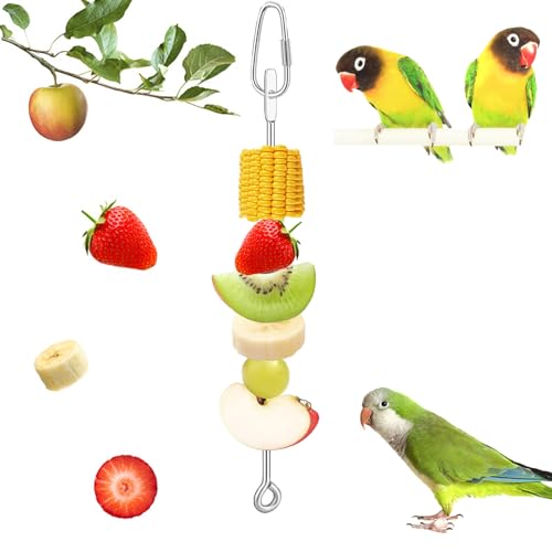 3Pcs Parrot Fruit Vegetable Skewer, Bird Food Holder Small Animal Fruit Vegetable Holder Stainless Steel Bird Parrot Skewer for Parakeet Budgie Conure Macaw