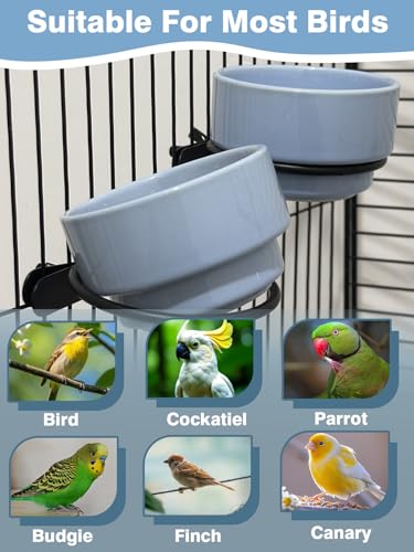 2 Pcs Bird Food Bowl Ceramic Bowls for Birds Small Parakeet Food Bowl Parrot Feeding Cups, Bird Cage Feeder for Parakeets Conure Cockatiels Lovebird Budgie (Blue)