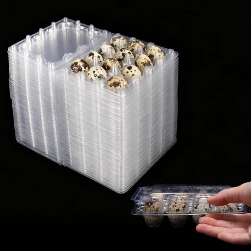 60Pcs Quail Egg Cartons,Square Dozen Egg Boxes 12 Grids Clear Plastic Quail Egg Cartons Stackable Trays for Quail Eggs, Pigeon Eggs, Small Poultry, for Home Fridge Storage, Farm, Market
