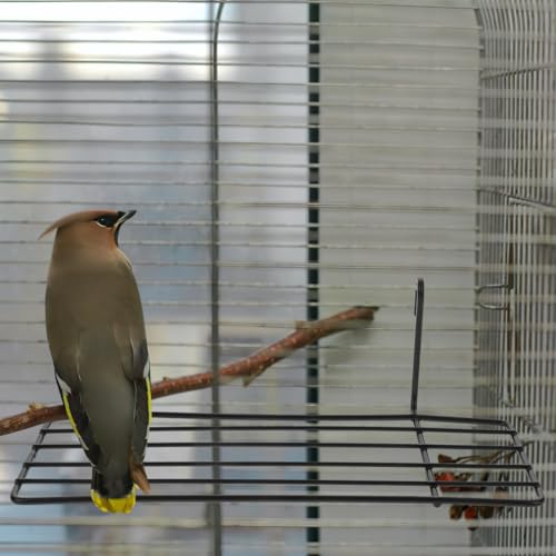 POPETPOP Grid Iron Wall Shelf Bird Cage Platform Perch with Hooks for Parrots and Small Birds Hanging Wire Shelf for Cage Wall Decoration 3 Pack 9.84 X 5.90 X 8.26 in
