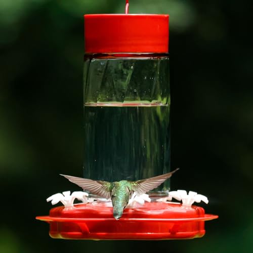 Nature's Way Hanging Glass Hummingbird Feeder for Outdoor Décor, 20 Ounce Capacity Nectar Feeder, Ant Moat, 5 Easy to Clean Flexible Ports, Red - style: 20 Ounce Capacity