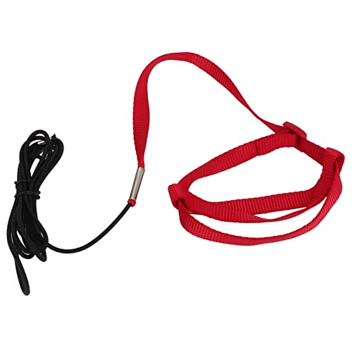 Elastic Parrot Harness Leash Bird Leash Bite Proof Harness Adjustable Parrot Flying Training Rope with Metal Hook Nylon Webbing for Cockatiels Walking (L) - size: L