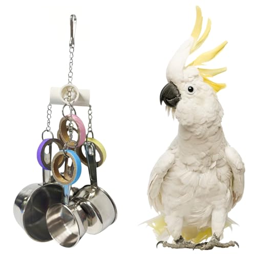 LWINGFLYER Stainless Steel Parrot Toys, Pullable Stainless Steel Cup and Cardboard Ring Toys Hanging Chew Bird Toys for Large Parrots，African Grey, Amazon Parrots