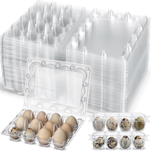 60 Pcs Giant Quail Egg Cartons 12 Grids Clear Plastic Stackable Trays for Jumbo Quail Eggs, Pigeon Eggs, Small Poultry, Great for Home Fridge Storage, Farm, Market, Gift Box Packing