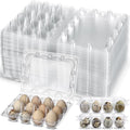 60 Pcs Giant Quail Egg Cartons 12 Grids Clear Plastic Stackable Trays for Jumbo Quail Eggs, Pigeon Eggs, Small Poultry, Great for Home Fridge Storage, Farm, Market, Gift Box Packing
