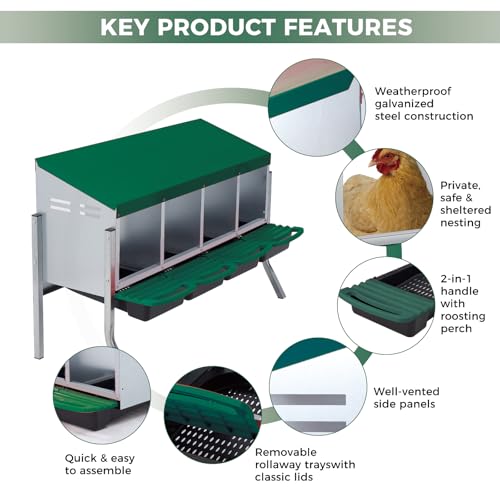Chicken Nesting Boxes with Cleanable Pull-Out Trays, 4-Hole Wall Mount Roll Away Nest for Easy Cleaning & Egg Collection - size: 4 holes with legs