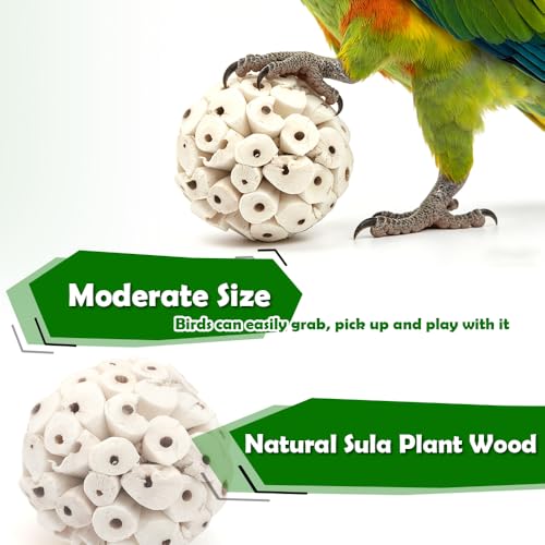 DQITJ 6 Pcs Bird Parrot Chew Toy Sola Balls Natural Soft Chew Shredding Parrot Foraging Toy Foot Ball for Cockatiel Conure Parakeet Bunny Guinea Pig