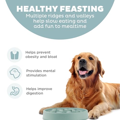 Outward Hound Fun Feeder Slo Bowl – Large 4‑Cup Capacity, Slow Feeding, Medium to Large Dogs, Non‑Slip, Sage, Notch Pattern - color: Sage, size: Large