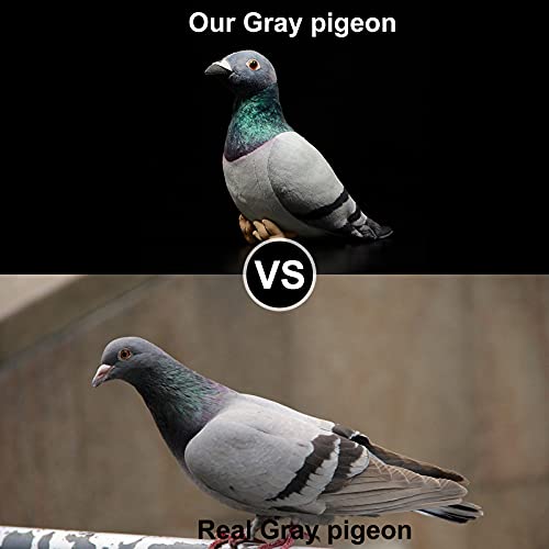 Grey Pigeon Plush Toy - Simulation Rock Columba Rupestris Stuffed Animal, Cute Rock Pigeon Plush Toy as Gift for Your Friends - style: Grey Piegon