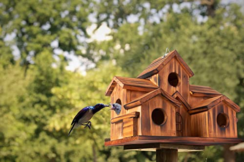 COLEBA Bird Houses for Outside,Outdoor 5 Hole Bird House Room for 5 Bird Families Bluebird Finch Cardinals Hanging Birdhouse for Garden (Brown - Set of 1)