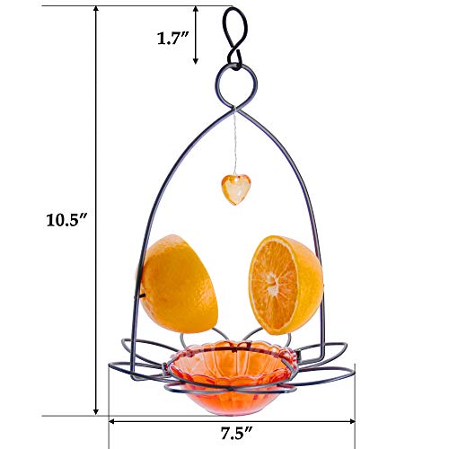 FORUP Oriole Bird Feeder, Orange Fruit Oriole Feeder - color: Orange