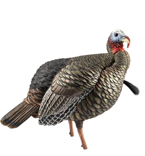 Avian-X LCD Feeder Hen Turkey Decoy with X-Factor Motion System – Realistic Lifelike Collapsible Standing Turkey, Durable Design, Carry Bag & Collapsible Stake for Hunting - style: HDR Jake