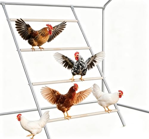 Chicken Coop Perches, Multi-Bar Roosting Ladder & Chicken Toys for Backyard Poultry, Weather-Resistant Easy to Assemble & Clean Chicken Roosting Bars Coop Accessories (41×5×3)