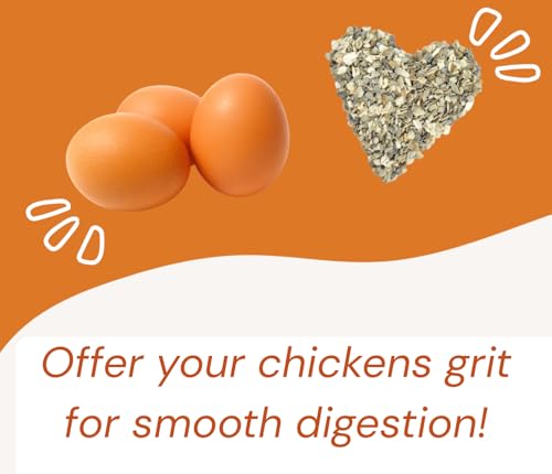 Grit Feeder for Chickens