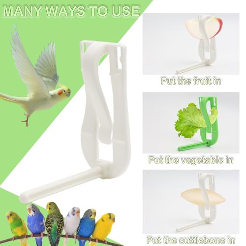 2 Pcs Bird Cage Cuttlebone Holder Fruit Vegitable Bracket with Perches Stand with 4 Pcs Cuttlebone for Parrot Budgie Conure