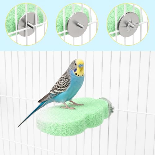 2 Pcs Bird Beak & Claw Trimming Stone, Rough Pumice Perch for Small Birds | Non-Slip Rough Pumice Stone Perch for Beak & Claw Trimming, Ideal for Cockatiels, Lovebirds, Conures & Small Birds