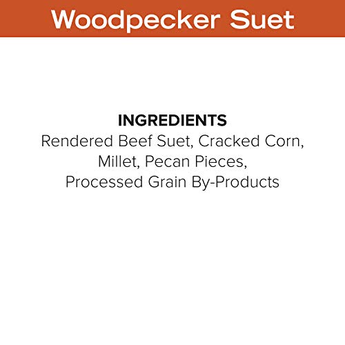 Blue Seal Nut Feast Suet Cakes for Wild Birds | No Mess Suet Feed with Variety of Nuts | Food for Woodpeckers, Cardinals, Siskins & Sparrows | Use with Suet Feeder | 11oz Seed Cake (6 Variety Pack)