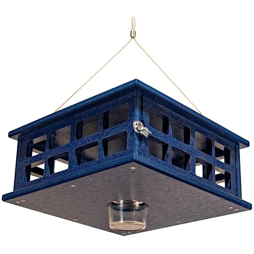 Recycled Poly Lumber Caged Platform Bluebird Feeder (Blue) - color: Blue/Blue