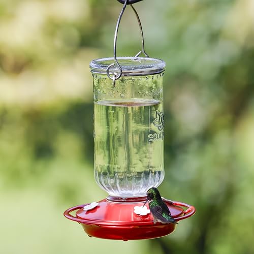 Ruby Roost Recycled Glass Hanging Glass Hummingbird Feeder for Outdoor Décor, 17 Ounce Capacity Nectar Feeder, 4 Removable Easy Clean Ports, Clear - style: Ruby Roost