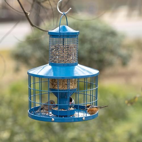 Caged Bird Feeders Squirrel-Proof, Metal, 2.8 Lbs Capacity-Cage Tube Seed Feeders with Tray Outdoor Hanging, Attract Birds,Detachable Cleaning, Starling Proof Wild Bird Feeder（Blue） - color: Blue