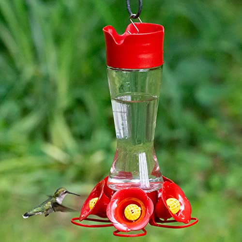 Perky-Pet Favored Pinch-Waist Glass Hummingbird Feeder, 16 oz Capacity | Built-in Ant Moat & Bee Guard for Prevention Against Bees, Wasps, Ants, 5 Feeding Ports with Perches, Garden Décor - style: 1 Feeder
