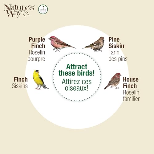 Nature's Way Large Plastic Thistle Tube Bird Feeder for Wild Birds and Outdoor Décor, 2.1 Quart Capacity, Six Ports, Easy-Clean Design, Yellow
