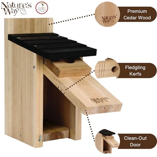 Wild Wings WWCH3 Cedar Blue Bird Box House - size: Bluebird Box House