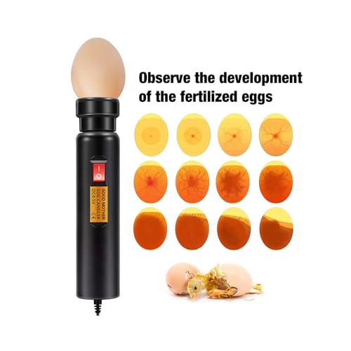 Bright Cool LED Light Egg Candler Tester Incubator for Chickens Ducks Birds Eggs - Powered by Power Cable Only