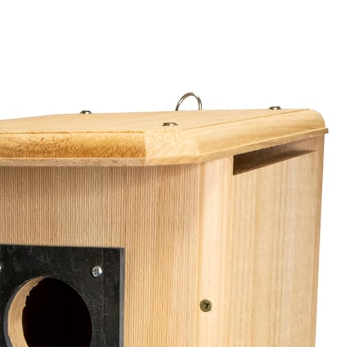 Northern Flicker House
