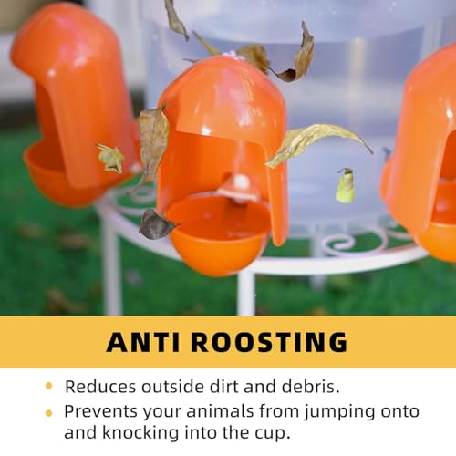 Large Automatic Chicken Water Cups w/Anti-Dirt Cover for Poultry -5 Pack | Large cups; w/ Anti-Dirt Cover