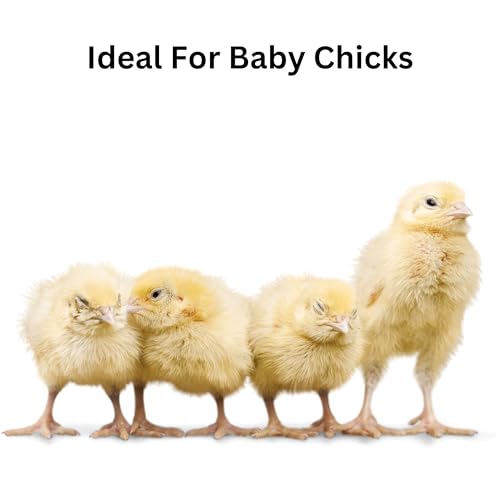 Premium Pine Bedding | Dust Free, Soft Shavings | All Natural | Chicken Coops | Animal Bedding | Small Animals | Odor Control (8 Quart) - size: 8 Quart