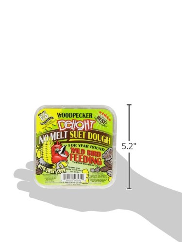 C&S Woodpecker Delight No Melt Suet Dough 11.75 Ounces, 12 Pack - style: Woodpecker 12-Pack