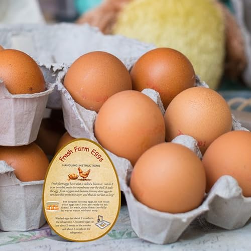 250PCS Farm Fresh Egg Handing Instruction Cards,2.7inch×3.5inch Double-Sided Printing Eggs Shape Sign for Farm Packaging cartons,Easy to Write The Collection Date. - style: Egg Handing Instruction