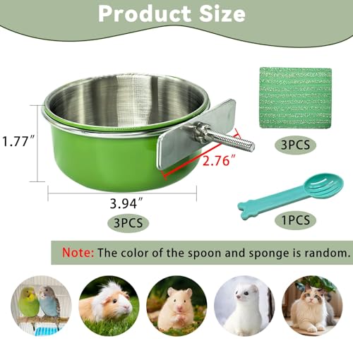3 Pcs Parrot Feeding Dish Cups,Stainless Steel Bird Food Water Feeder Bowls | Parrot Cage Feeder with Clamp Holder Small Bird Feeding Cup for Parakeet Cockatiels Conure Budgies Chinchilla Small Animal - size: 3pcs Green