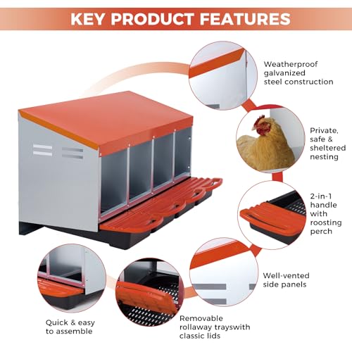 Chicken Nesting Box 4-Compartment Roll-Out with Pull-Out Trays, Egg Nesting Boxes for Hens, Chicken Coop Laying Box,Easy Wall Mounting with Metal Legs - color: Orange, size: 4 holes