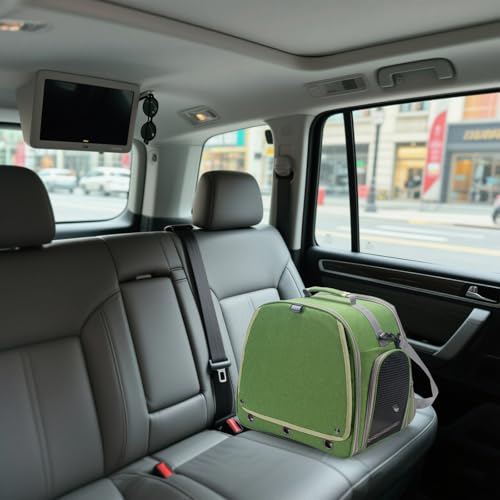 Bird Carrier Parrot Travel Cage with Perch, Food Bowl, Tray and Breathable Clear Window, Bird Travel Bag for African Gray Cockatiel Caique Conure Quaker, for Vetting Camping Hiking (Green) - color: Green