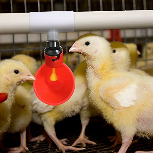 Outus 50 Pack Chicken Waterer PVC Tee Fittings, Fully Automatic Poultry Waterer PVC Fittings for Threaded Chicken Water Nipples, Cups, Drinker, Feeder, Duck, Quail, Turkey Coop Accessories, White