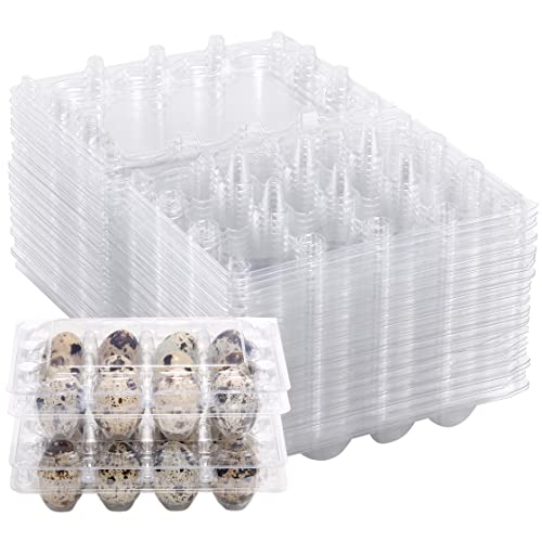 60 Pcs Quail Egg Cartons, Cheap Bulk Plastic Square Dozen Egg Carton | Classical 3x4 Style Holds Up to Twelve 12 Count Small Quail Pigeon Eggs, Boxes Tray Basket Container for Refrigerator